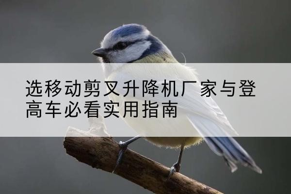额济纳旗电动升降机厂家-选移动剪叉升降机厂家与登高车必看实用指南