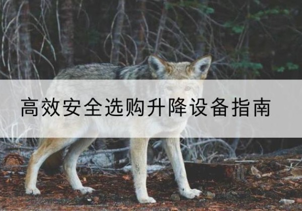 额济纳旗升降货梯厂家推荐-*安全选购升降设备指南